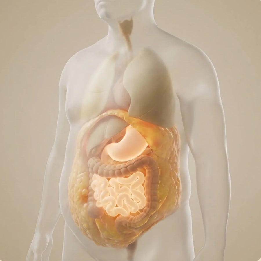 What happens when you lower cortisol