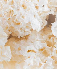 Tremella