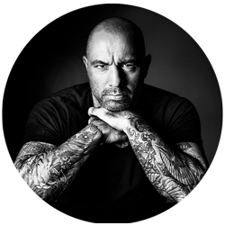 Joe Rogan  Organic Mushroom Coffee - Wild Brew