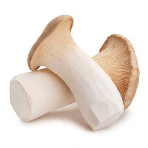Organic Mushroom Coffee - Wild Brew