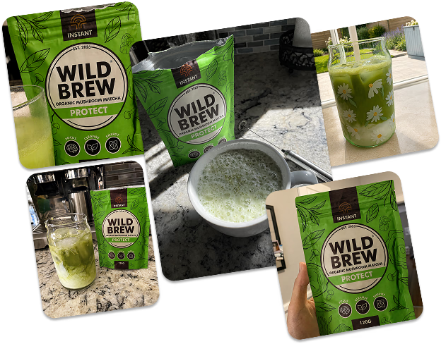 Wild Brew customer photos