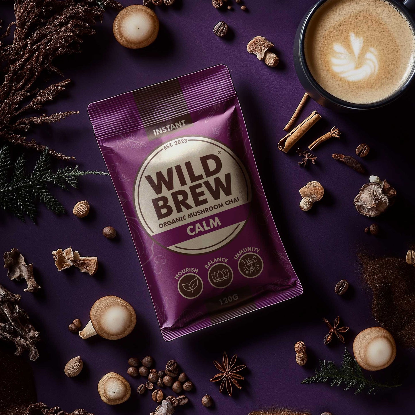 Wild Brew Organic Calm Mushroom Chai Latte