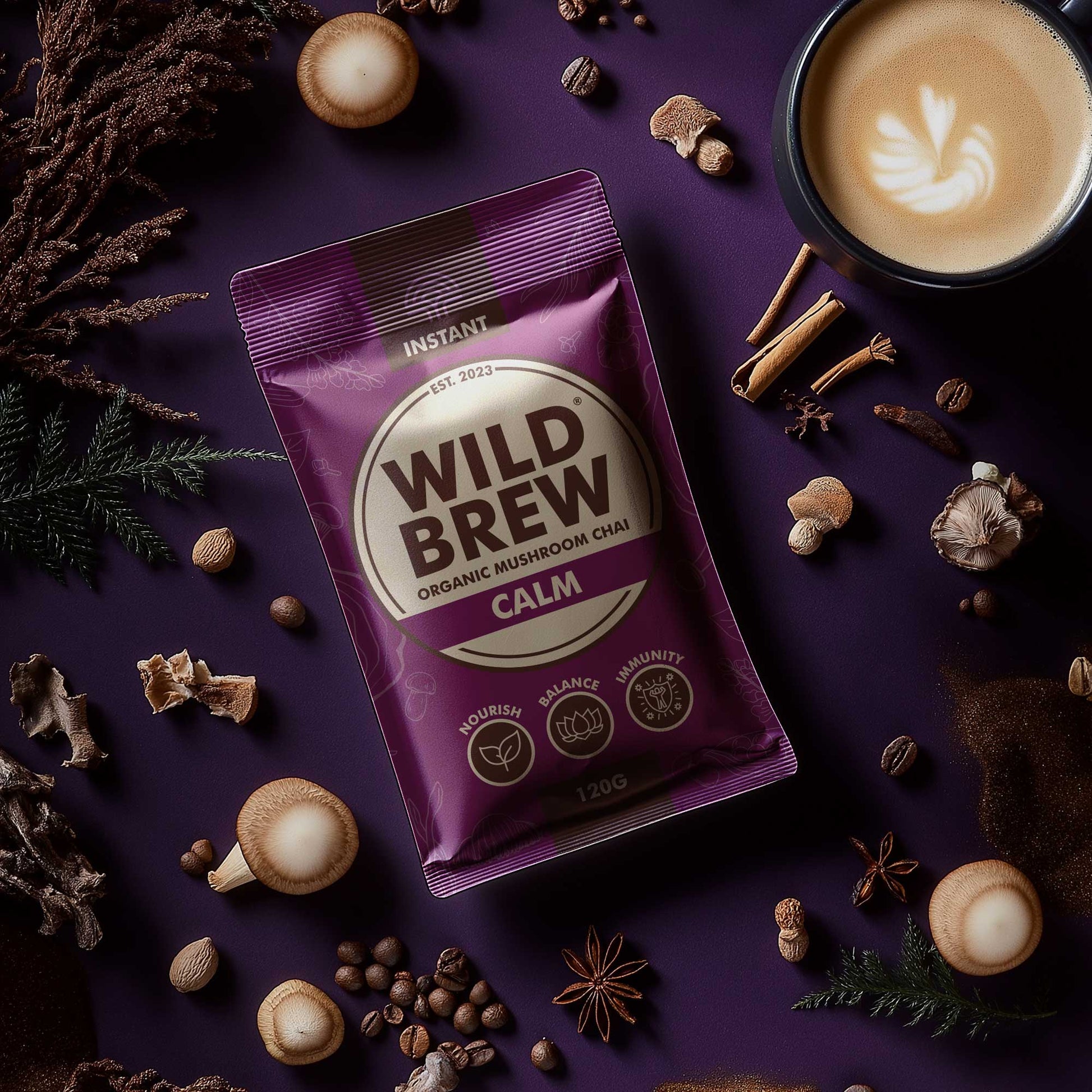 Wild Brew Organic Calm Mushroom Chai Latte