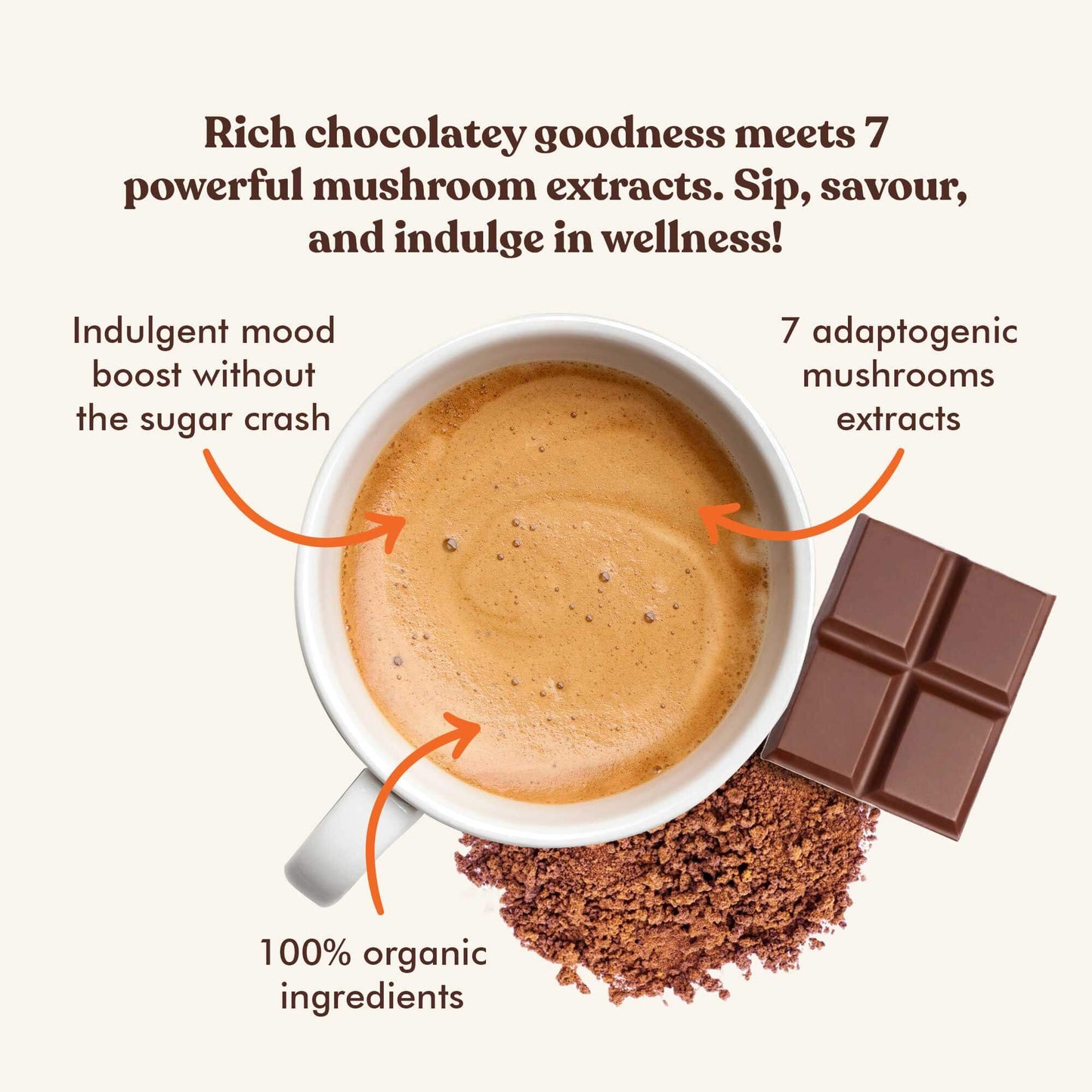 Nourish Organic Mushroom Cocoa - Wild Brew