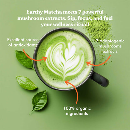 Wild Brew Protect Mushroom Matcha Latte Benefits