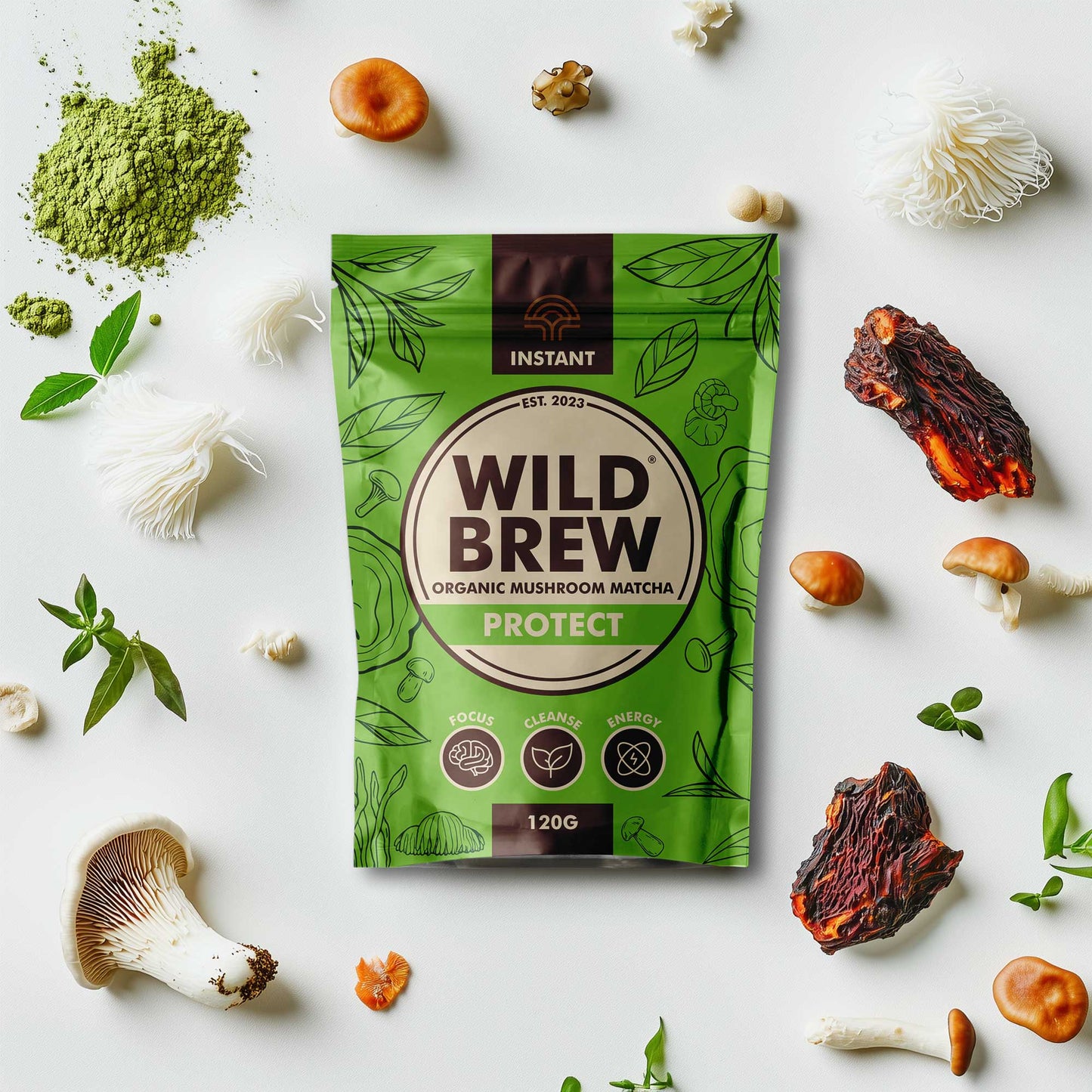Wild Brew Protect Organic Ceremonial Grade Mushroom Matcha Latte Benefits