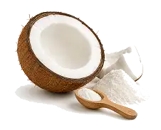 MCT Oil Powder