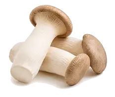 Trumpet